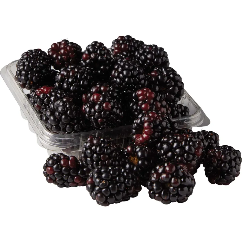 Blackberries view 1
