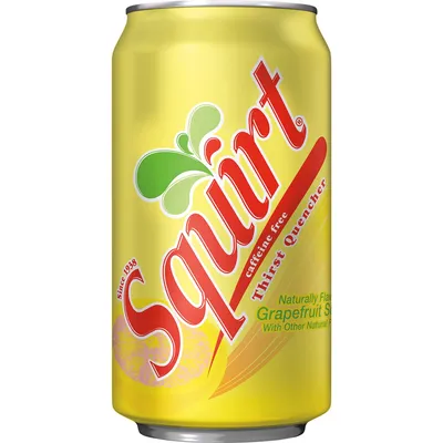 Squirt Citrus Soda 16 oz Can