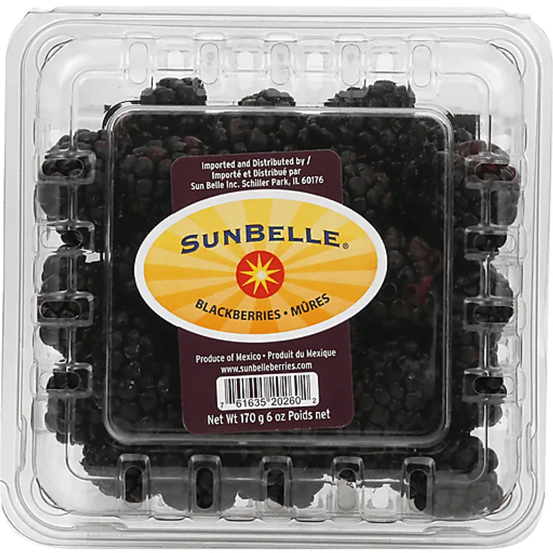 Fresh Blackberries view 1