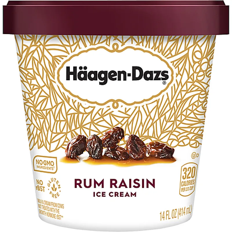Haagen-Dazs Rum Raisin Ice Cream view 1