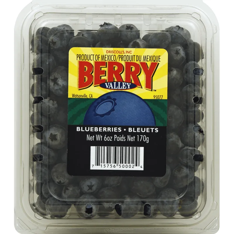Berry Valley Blackberries view 1