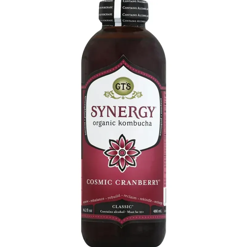 GT's Synergy Cosmic Cranberry Kombucha view 1