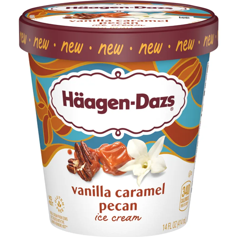 Haagen-Dazs Vanilla Caramel Pecan Ice Cream view 1