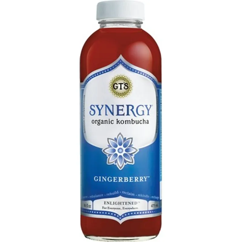Gts Synergy Gingerberry Kombucha Plastic view 1