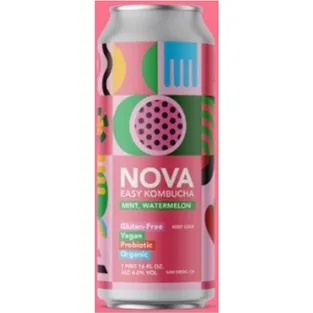 Nova Easy Kombucha Watermelon & Mint