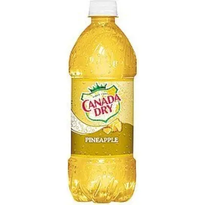 Canada Dry Pineapple Soda 24 Pack 20oz