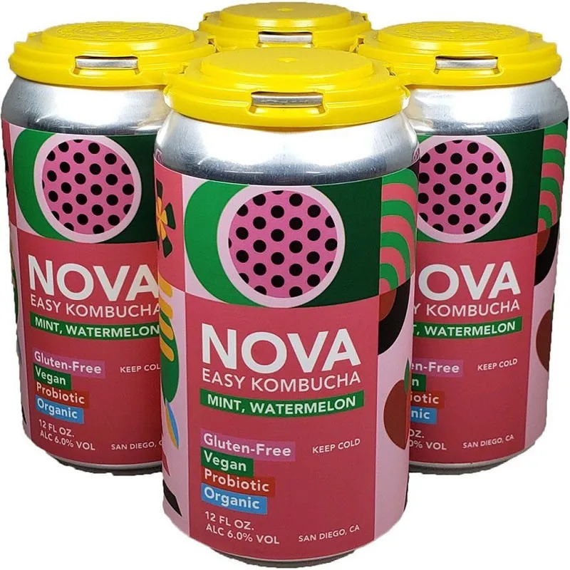 Nova Easy Kombucha Watermelon & Mint view 1