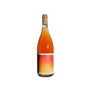 Tinto Amorio Bheeyo Skin Contact Orange Wine