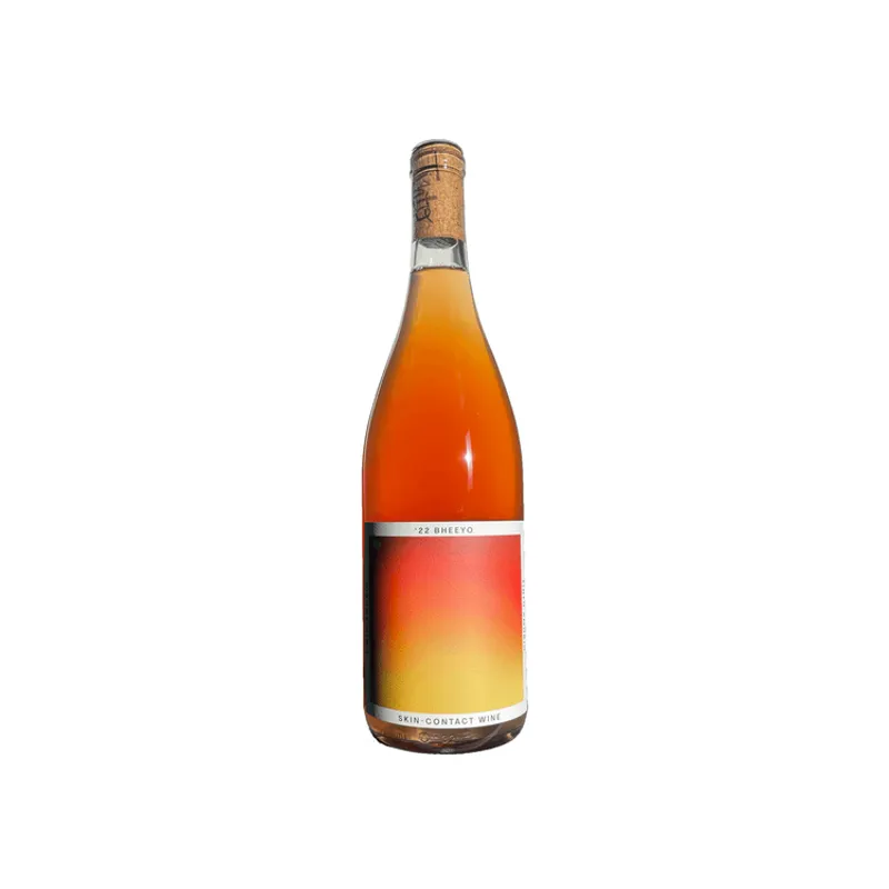 Tinto Amorio Bheeyo Skin Contact Orange Wine view 1