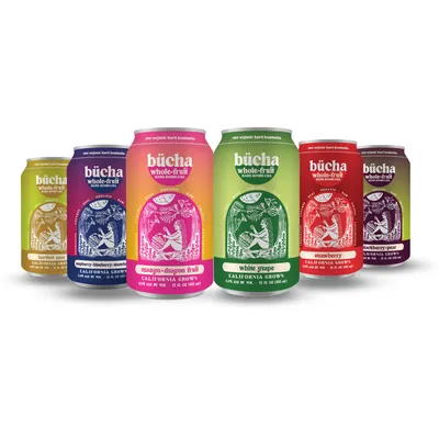 BUCHA Strawberry Hard Kombucha 6pk 12 oz cans