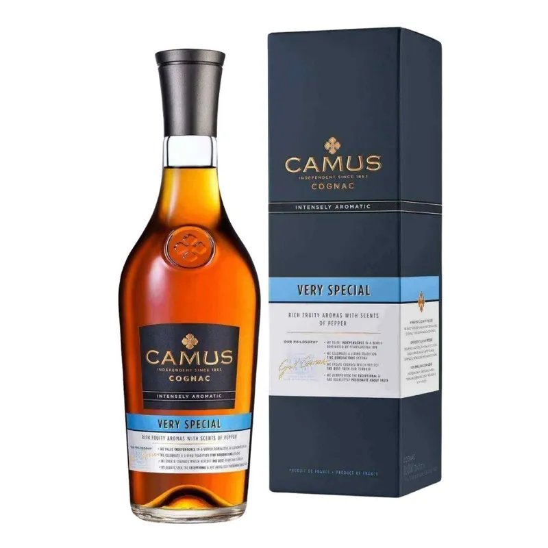 Camus Very Special view 1