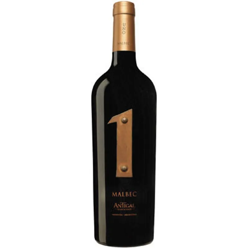 Antigal Malbec Uno Mendoza 2019 view 1