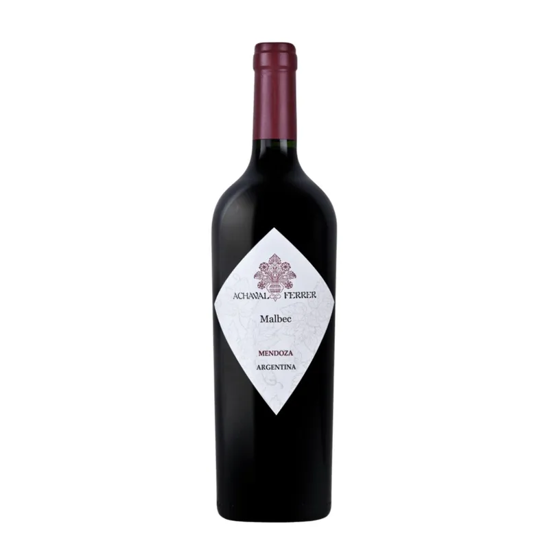 Achaval Ferrer Malbec 2021 view 1
