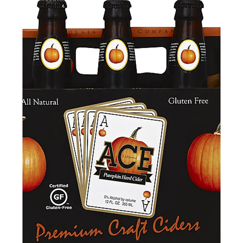 Ace Pumpkin Hard Cider view 1