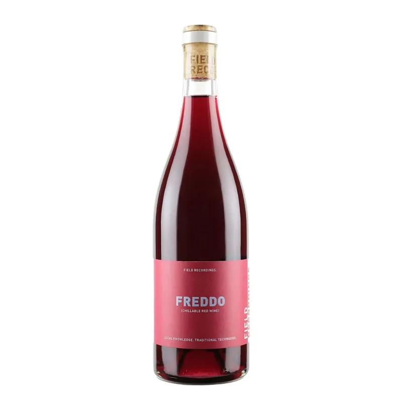 Field Recordings Freddo 2024 view 1