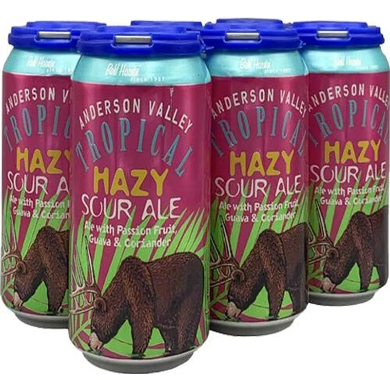 Anderson Valley Tropical Hazy Sour Ale view 1