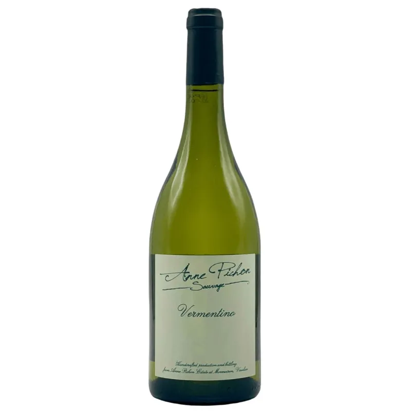 Anne Pichon Sauvage Vermentino 2022 view 1