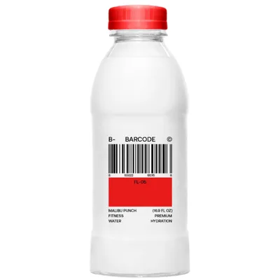 Barcode Malibu Punch Fitness Water 16.9 oz