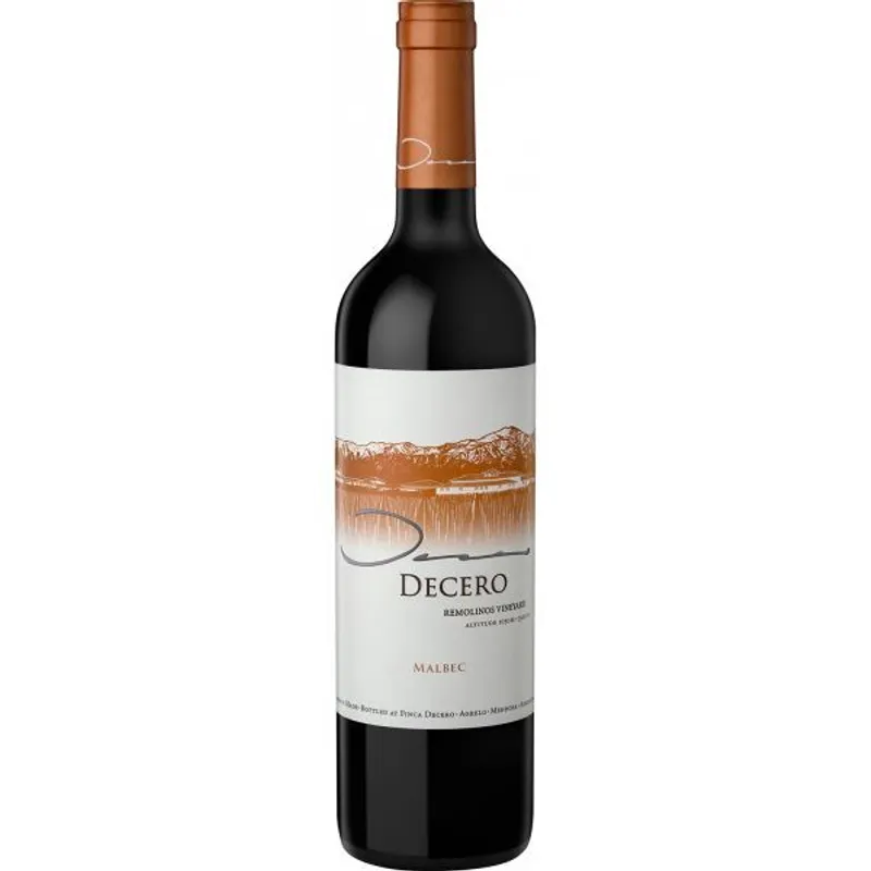 Finca Decero Malbec 2019 view 1