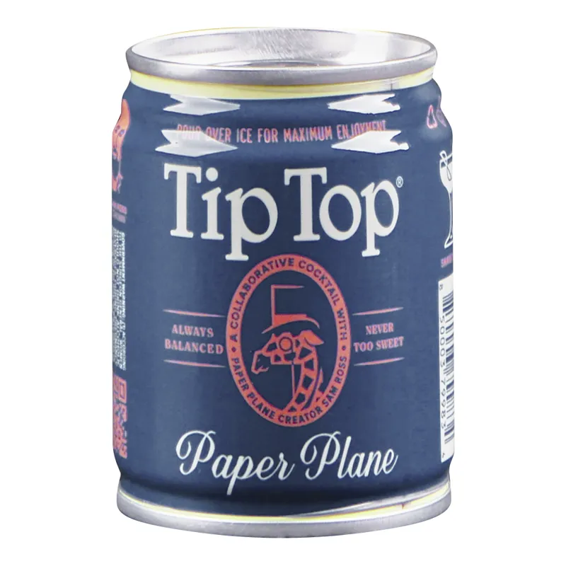 Tip Top Paper Plane view 1