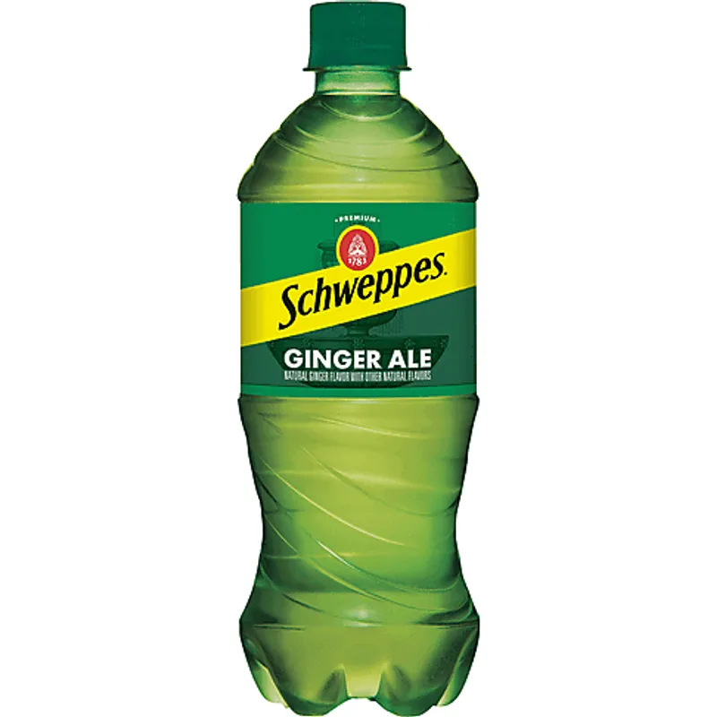 Schweppes Ginger Ale view 1