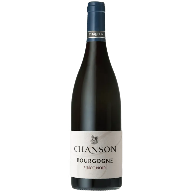 Domaine Chanson Bourgogne view 1