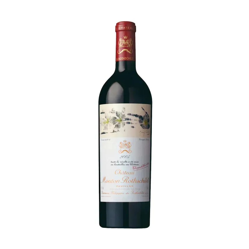 Chateau Mouton Rothschild 2005 Pauillac view 1