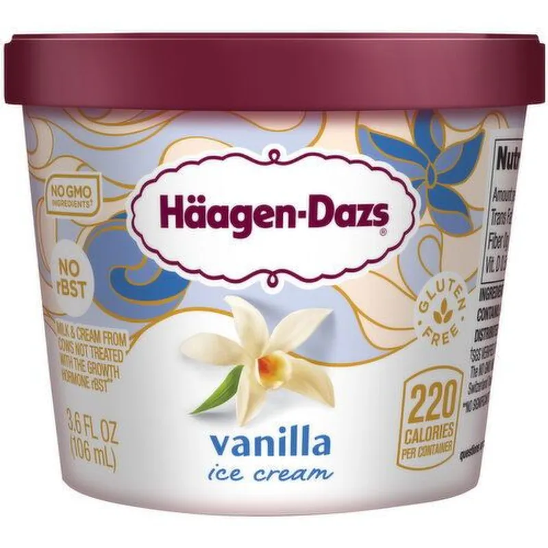 Haagen-Dazs Vanilla Ice Cream view 1
