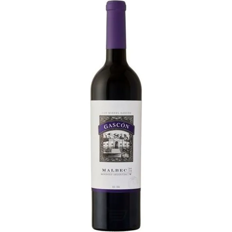 Don Miguel Gascon Malbec view 1