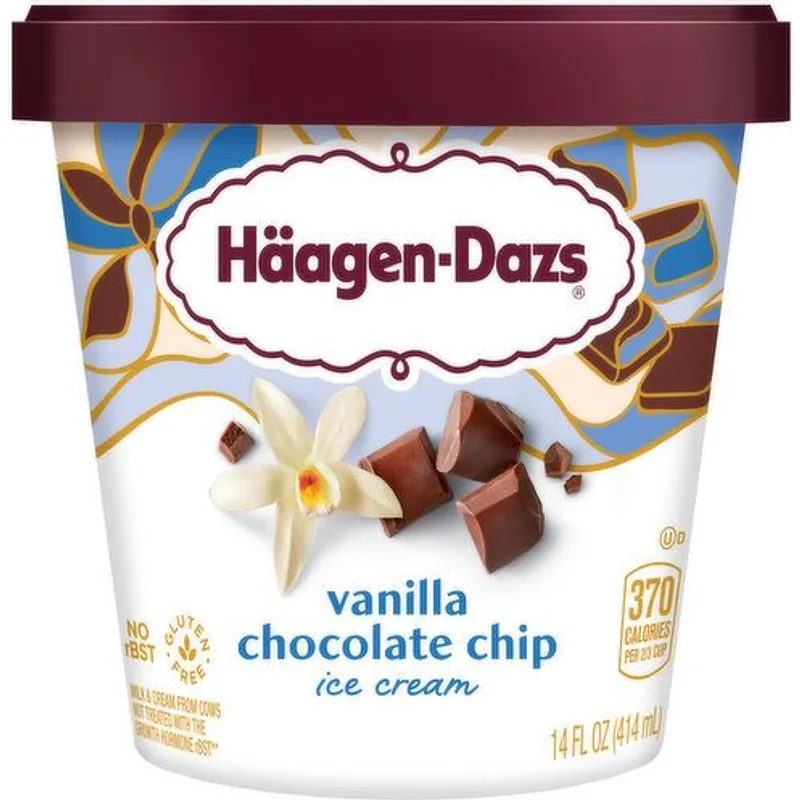 Haagen-Dazs Vanilla Chocolate Chip view 1