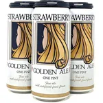 Belmont Brewing Stawberry Golden Ale 4 Pack 16 oz Cans